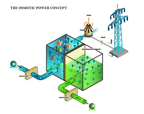 Osmotic Power Generation